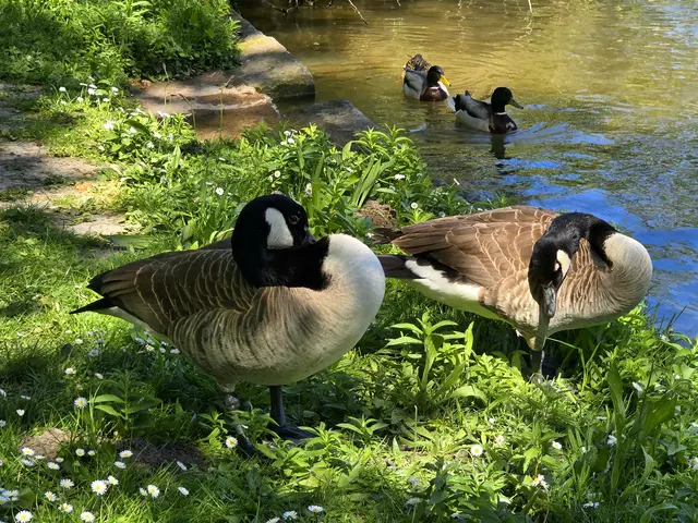 Foto: Heidrun Rosenberger