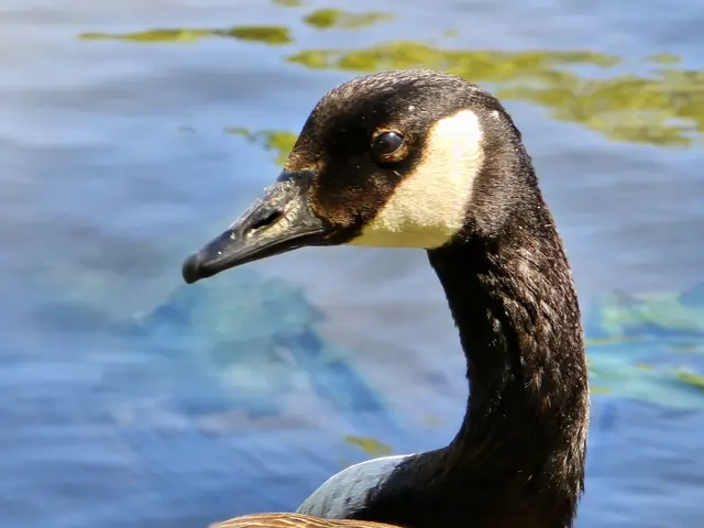 Foto: Heidrun Rosenberger