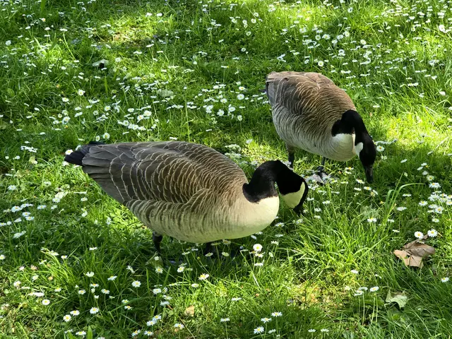 Foto: Heidrun Rosenberger