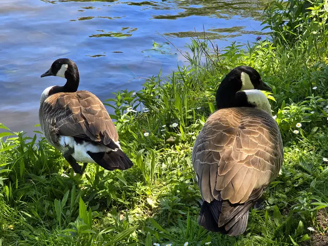Foto: Heidrun Rosenberger