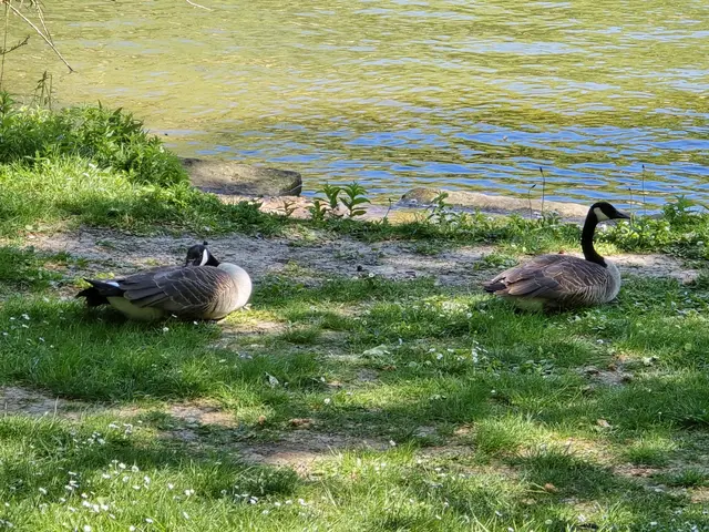 Foto: Heidrun Rosenberger