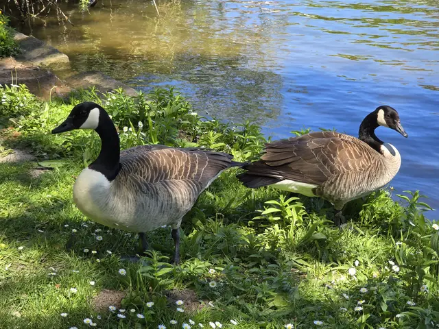 Foto: Heidrun Rosenberger