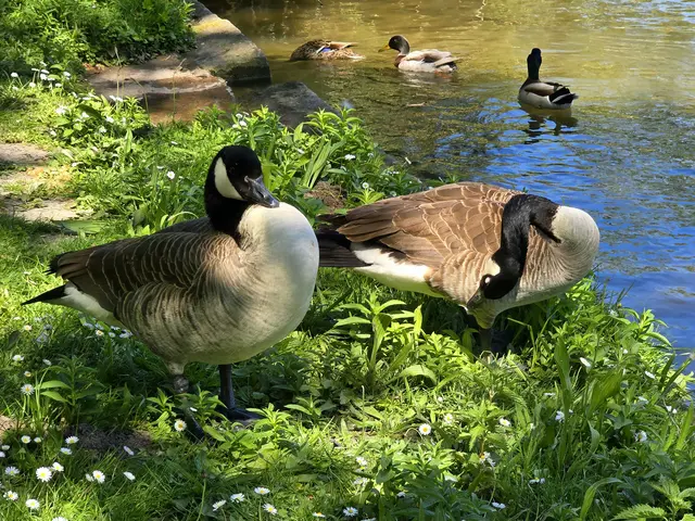 Foto: Heidrun Rosenberger