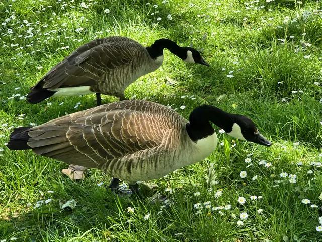 Foto: Heidrun Rosenberger