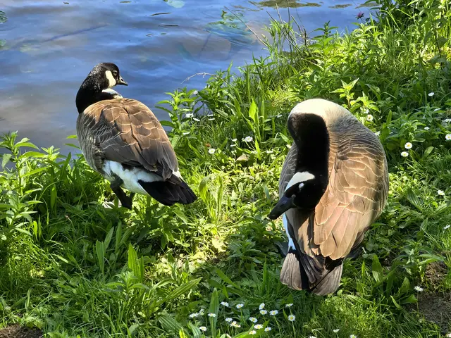Foto: Heidrun Rosenberger