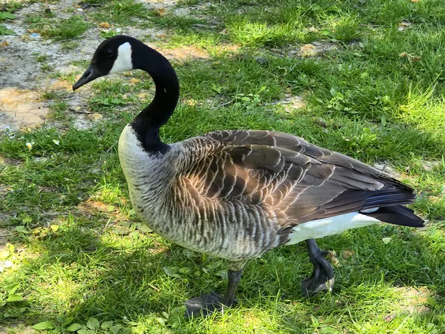 Foto: Heidrun Rosenberger