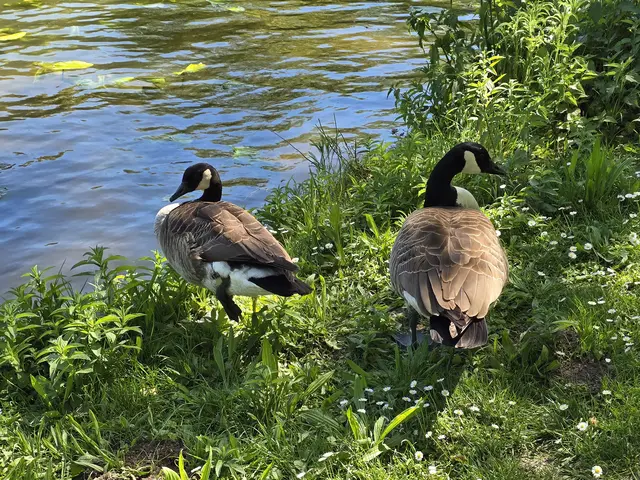 Foto: Heidrun Rosenberger