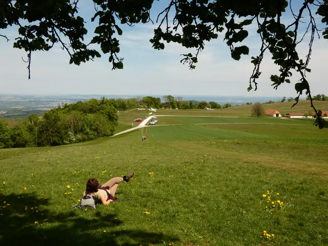 Ute hat es sich auf der Wiese bequem gemacht und genießt den Ausblick auf das Treiben unten am Flugplatz.   | Foto: sigischlottke