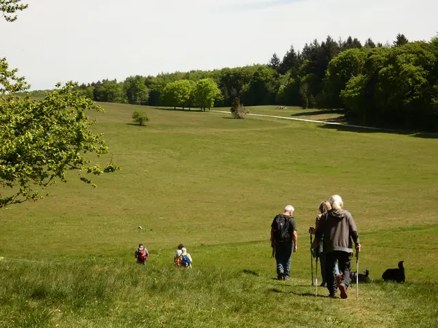 Weiter geht's durch gelb blühende Wiesen.   | Foto: sigischlottke