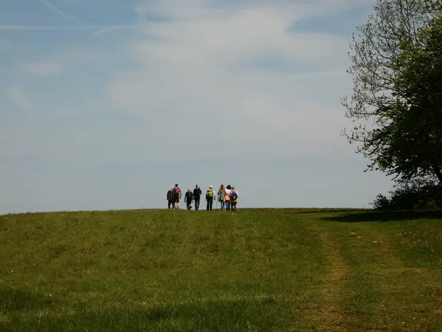 Einige der Wanderer sind schon oben auf dem Hügel angekommen.   | Foto: sigischlottke