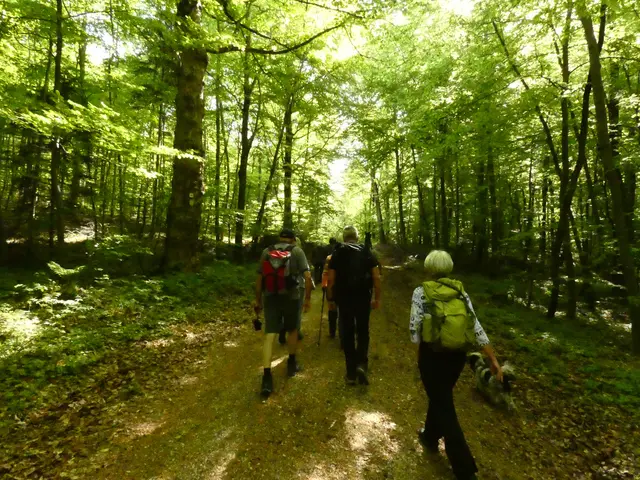 Im frischgrünen Wald geht's erstmal bergan.  | Foto: sigischlottke