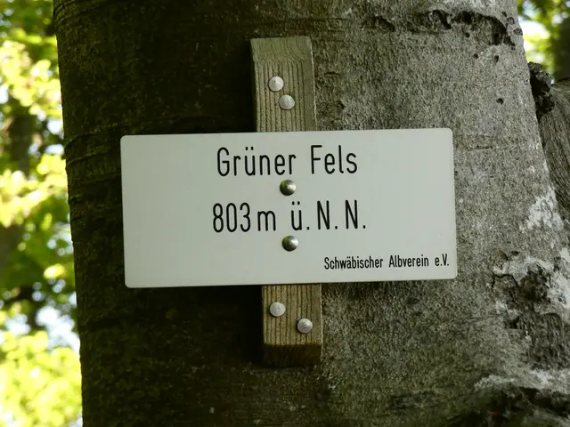 Foto: sigischlottke