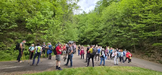 Kurze Verschnaufpause im grünen "schwarzen Wald". | Foto: privat Sibylle Tröber