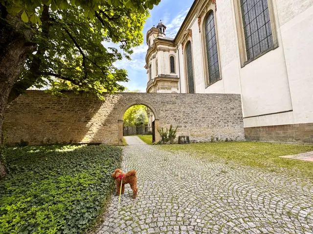 Foto: Heide Böllinger aus Bad Friedrichshall