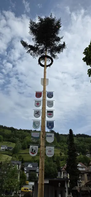 Maibaum im Kurpark. | Foto: privat Sibylle Tröber