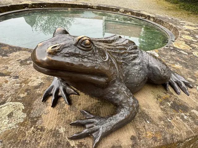 Foto: Heide Böllinger aus Bad Friedrichshall
