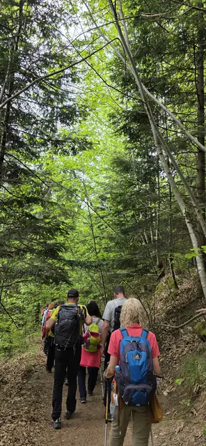 Unterwegs auf schönem Waldweg. | Foto: privat Sibylle Tröber