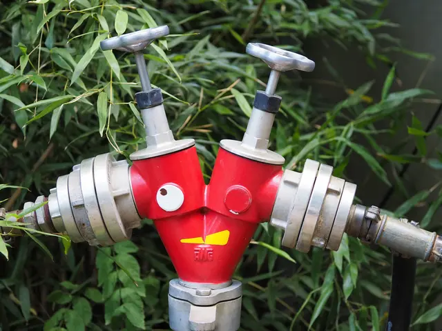 Hydrant mit Gesicht