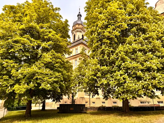 Foto: Heide Böllinger aus Bad Friedrichshall