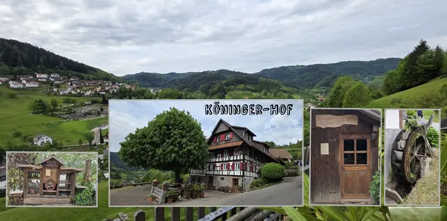 Der Köninger-Hof ... mit dem ersten Schnapsbrunnen am Wegesrand. | Foto: privat Sibylle Tröber
