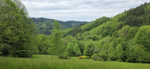 grün, grün, grün ... | Foto: privat Sibylle Tröber