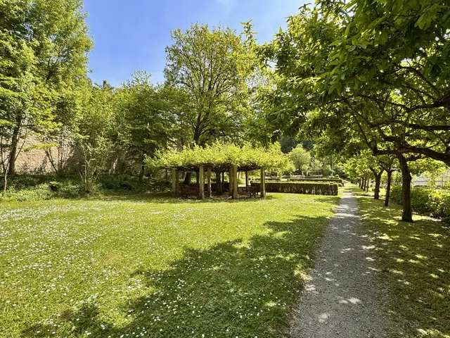 Foto: Heide Böllinger aus Bad Friedrichshall