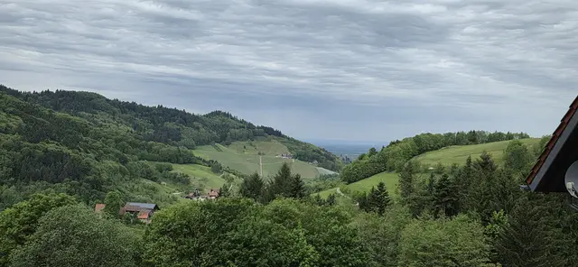 Blick nach Kappelrodeck; im Hintergrund die Vogesen. | Foto: privat Sibylle Tröber