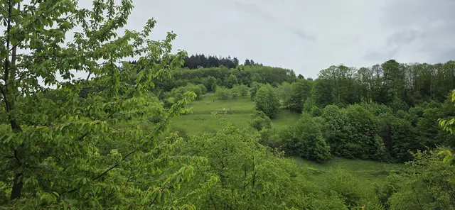 Grün ... Balsam für Augen und Seele. | Foto: privat Sibylle Tröber