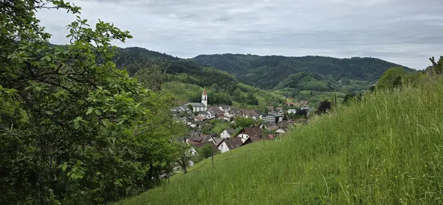 Blick auf Ottenhöfen auf dem Weg nach oben. | Foto: privat Sibylle Tröber