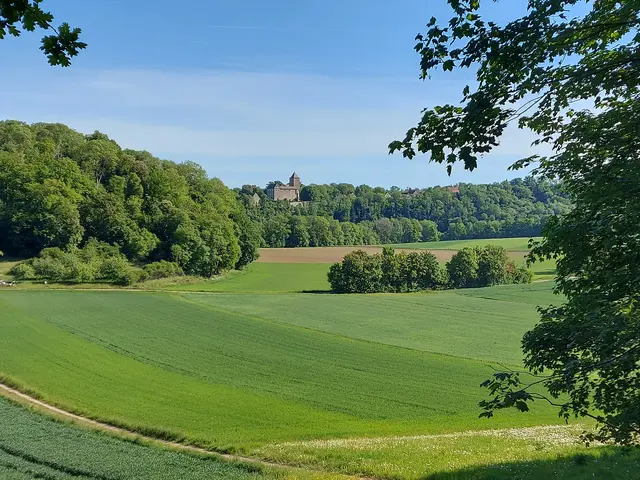 Hornberg | Foto: Thomas Raisig