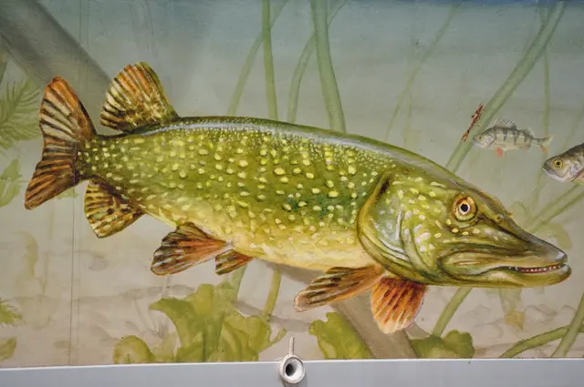Detailaufnahme vom schön gestalteten Fischverkaufswagen. | Foto: Daniela Somers