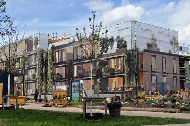Gärten der Zukunft. Dahinter die schön verkleidete Baustelle. | Foto: Daniela Somers