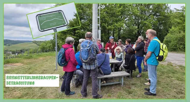 Informatives am Startpunkt am Parkplatz beim Sportgelände oberhalb von Häfnerhaslach  | Foto: privat Sibylle Tröber