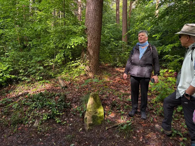 Auch historisches kommt nicht zu Kurz.
Trigonometrischer Stein am Paradiesweg.
Historischer Vermessungspunkt als Grundlage für die Landvermessung und Kartografie. | Foto: Marion Hendel
