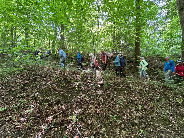 Auf schmalen Pfaden zur  Waldheide | Foto: Marion Hendel