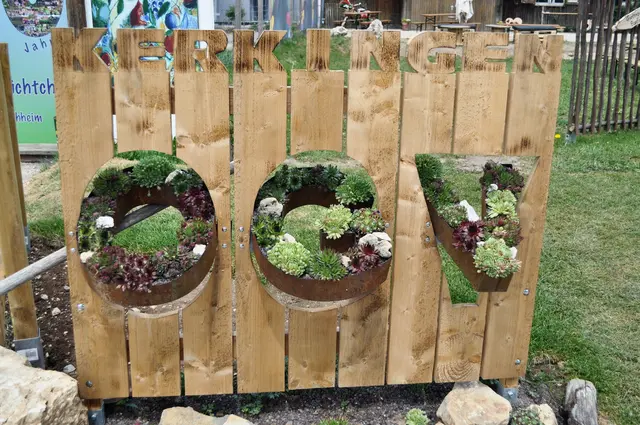 Gestaltet mit Pflanzen ohne großen Wasserbedarf wie z. B. Sedum-Arten und Dachwurz (Sempervivum) | Foto: Daniela Somers