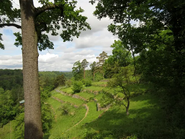 Einblicke von unterwegs | Foto: WandernGabyErich