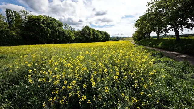Foto: WKY