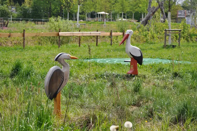 Später werden sich die Tiere in natura hier tummeln. | Foto: Daniela Somers