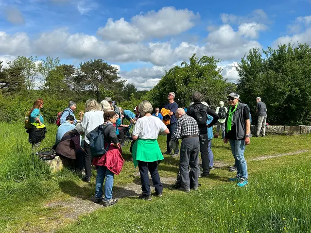 Nach Dschungel wieder Sonne auf der Waldheide | Foto: Marion Hendel