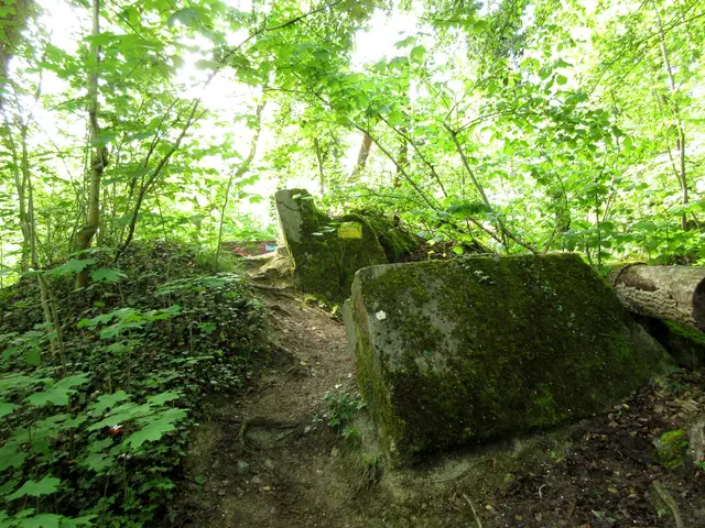 Bunker am Enzeck | Foto: WandernGabyErich