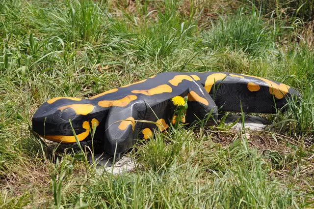 Und vielleicht wird es auch ihn in natura hier nach der Gartenschau geben. | Foto: Daniela Somers