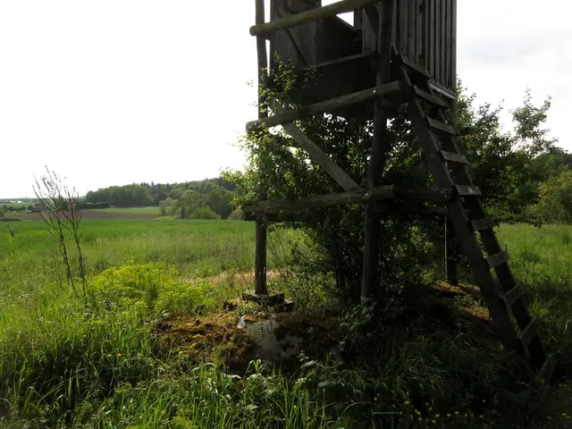 Auch hier unter dieser jagdlichen Einrichtung scheint ein Bunker der Neckar-Enz-Stellung gewesen zu sein | Foto: WandernGabyErich