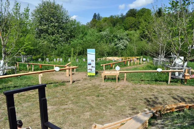 Holz ist ein großes Thema auf der Gartenschau. Es gibt viele Holzkugelbahnen, die aber gleichzeitig auch interessantes Wissen zum Thema Holz vermitteln. | Foto: Daniela Somers