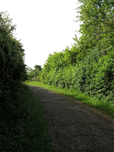 Der Hohlweg führt hinunter zur Mühle | Foto: WandernGabyErich