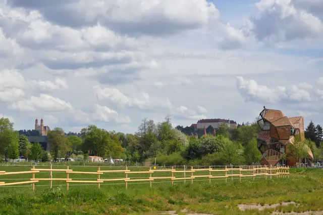 Im Auenpark der Gartenschau gibt es viele abgegrenzte Flächen in denen Tiere weiden. | Foto: Daniela Somers