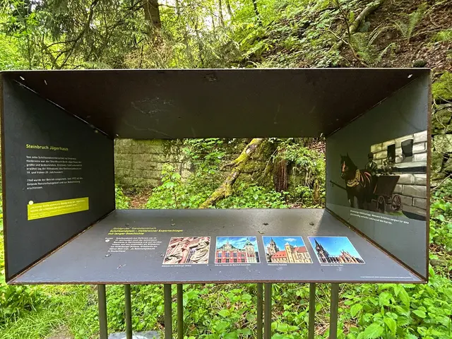Geo-Pfad  und Naturpfad  Tafel aus dem STeinbruch über die Verwendung der STeine | Foto: Marion Hendel
