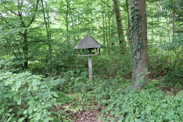 Futterstelle bei der Jagdhütte | Foto: Marga Specht