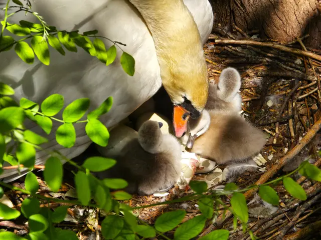Foto: Heidrun Rosenberger