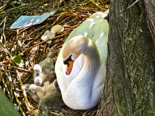 Foto: Heidrun Rosenberger